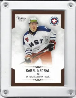 Nedbal Karel OFS Chance Liga 2018-19  č.183